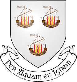IRL COA Wexford Town 3D